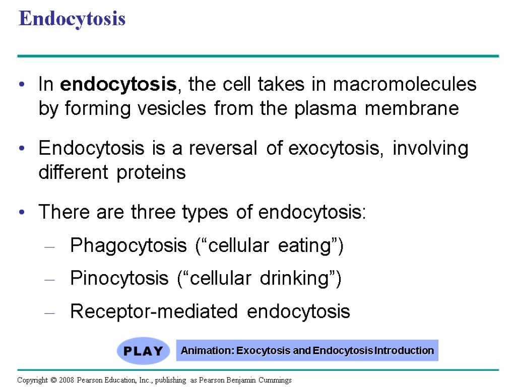 Endocytosis In endocytosis, the cell takes in macromolecules by forming vesicles from the plasma